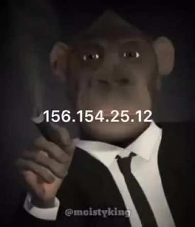 Monke knows everything