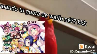 FBI OPEN THE DOOR