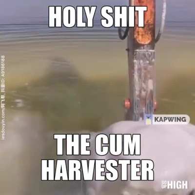 pleaseharvest my cum 😚🤤