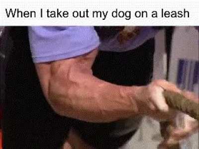 When I take out my dog on a leash