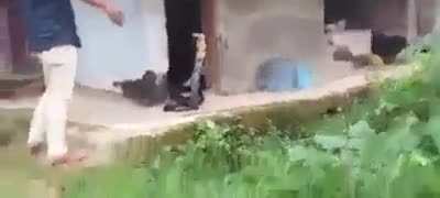 Surprise mudafak.