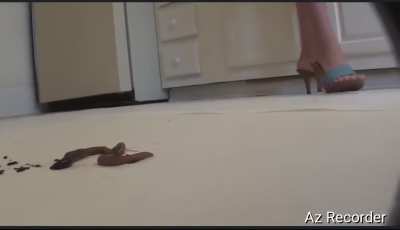 Clog crushes worm.