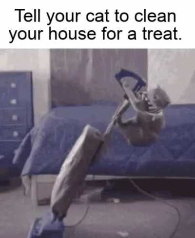 Train your cat, she will do it.
