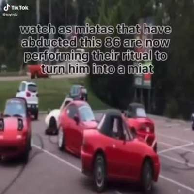 WTF did I watch