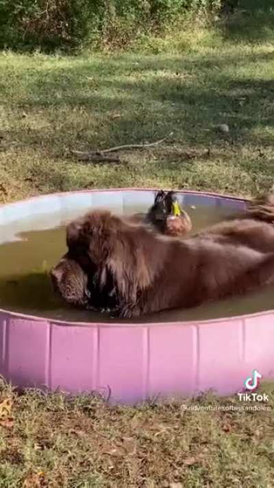 Best friends