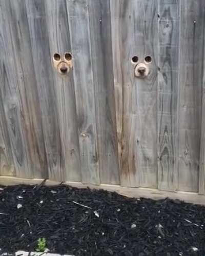 Hello.