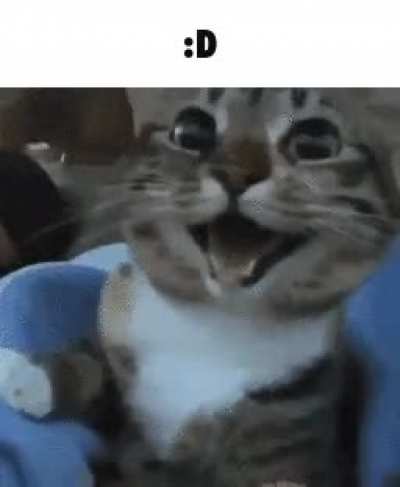 :D rule