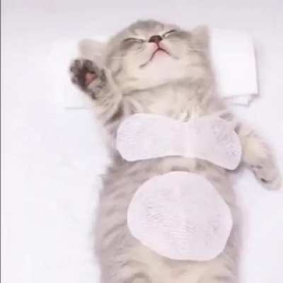 good night