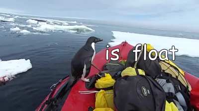 Safety inspection penguin