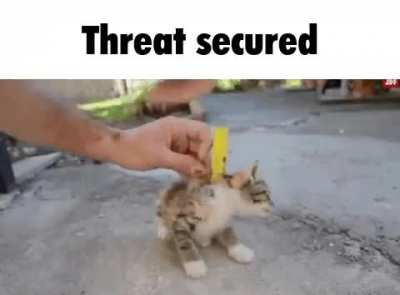 a dangerous criminal