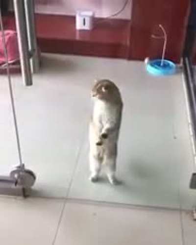 Invisible forcefield