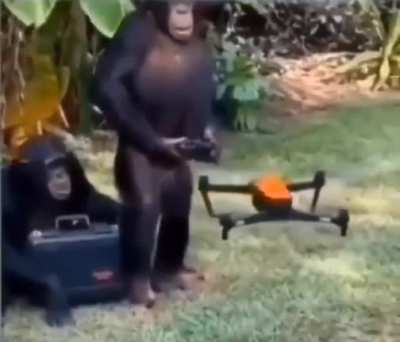 MONKE > kabile adam