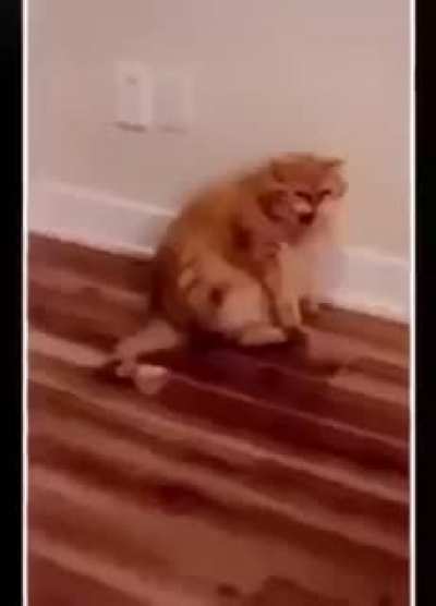 AAAAAAAAAAAAA
