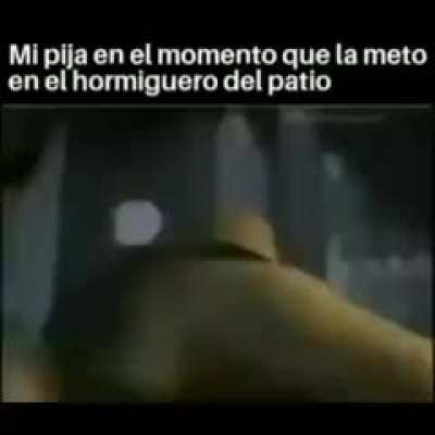 Que meme tan cierto