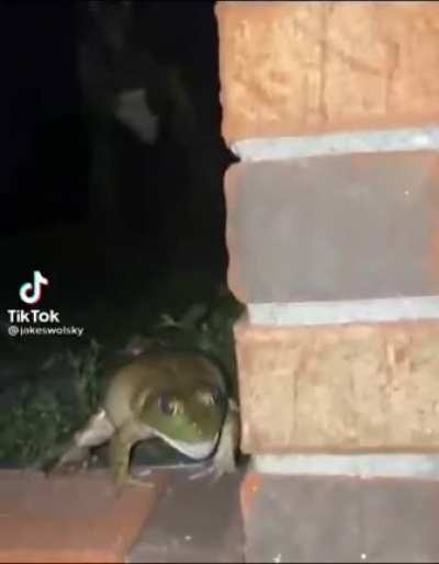 Лизь!
