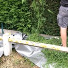 Trimming the hedge!