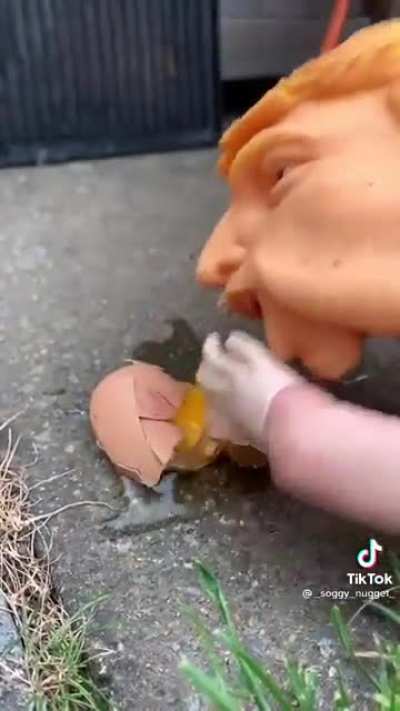 Egg