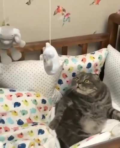 Am I next?