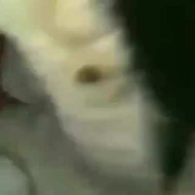 Skzksk