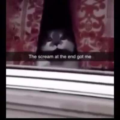 my man was just saying hi