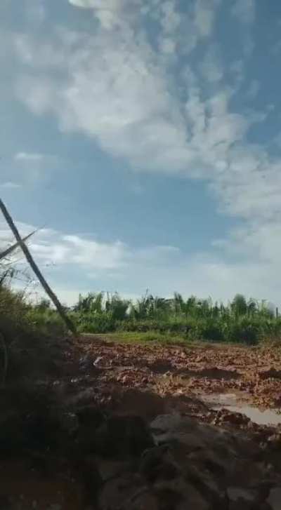 TARZAN DE BANGU CRUZANDO PRECIPÍCIO