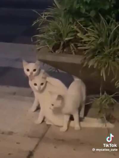Not so satisfying