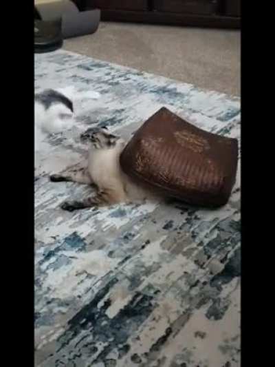 Successful sneak attack?