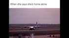 Video credit: u/Palana