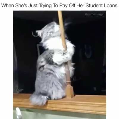 They Call Her Kitty