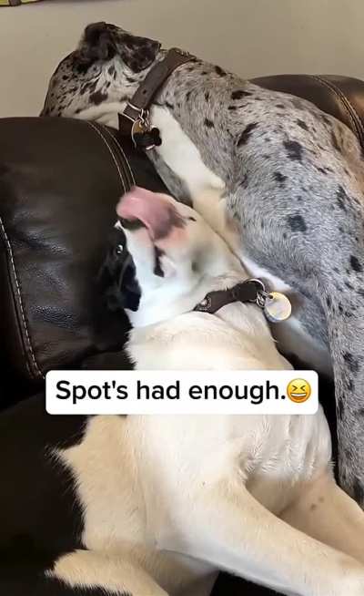 Big chomp to silence