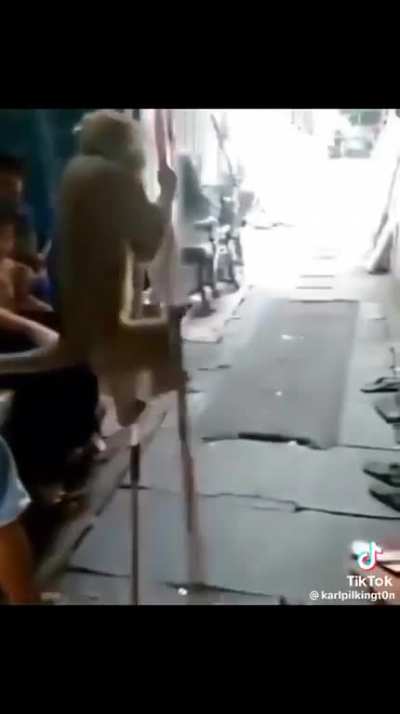 Mongolia, heil spez