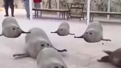Day 1 of asking to ban me