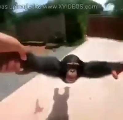 MONKE