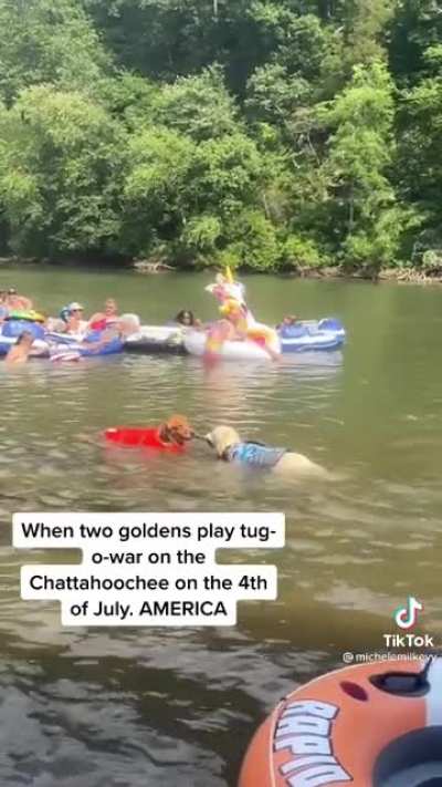 Place your bets