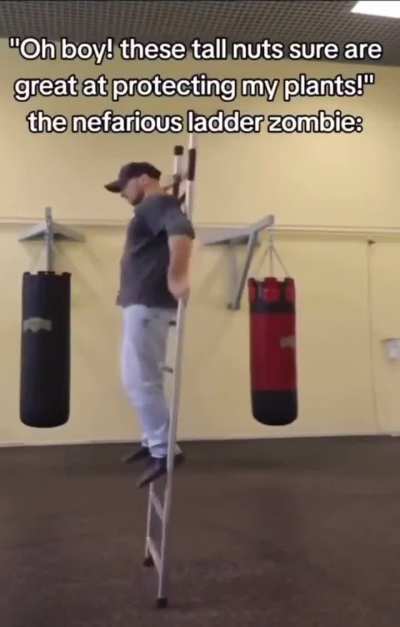 ladder