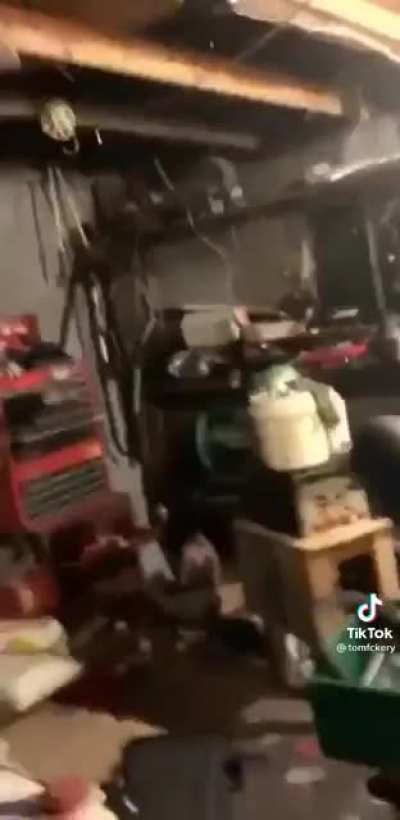 Leaf blower: Innovation that excites