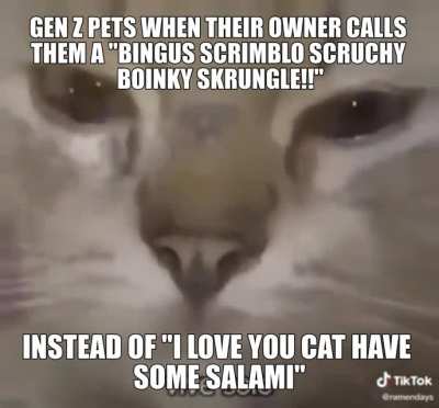 Spoingus bingos