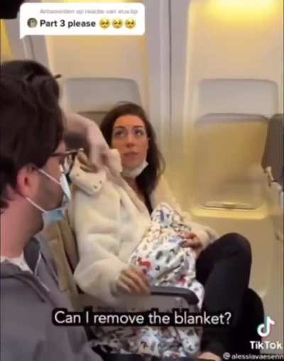 Breastfeeding cats on a plane