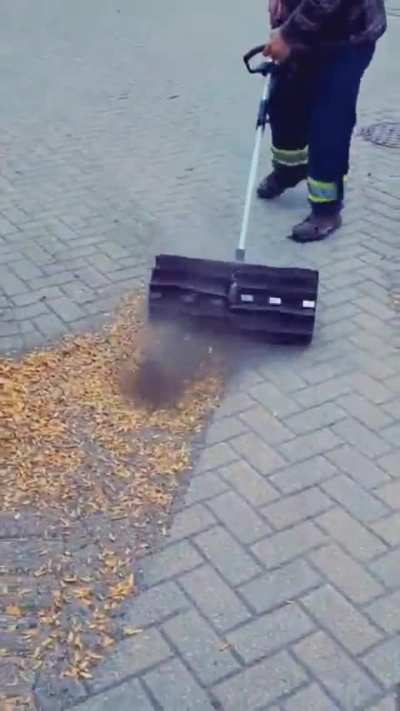 Power Brooming Leaves
