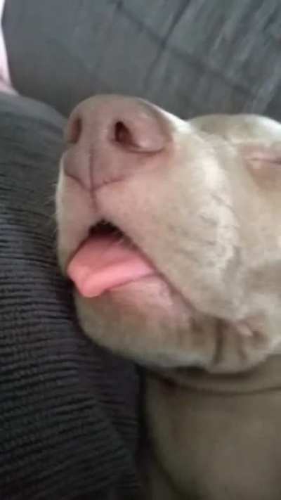 woof💤irl