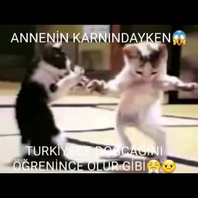 hayir burasi olmaz allah adam 😱😤🥺