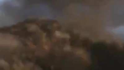 Kong:*da um socão* godzilla:*fica em pé* godzilla:*da um tapa* kong:ai,cai