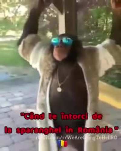 Cand vii de pe Germania
