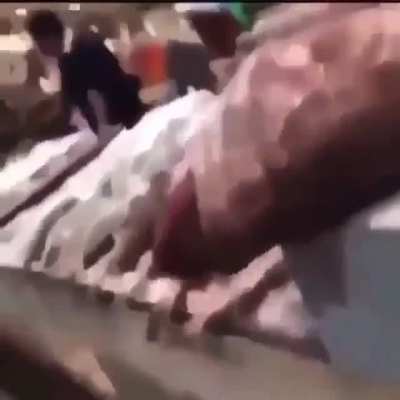 Balığı, adam çalıyor aq