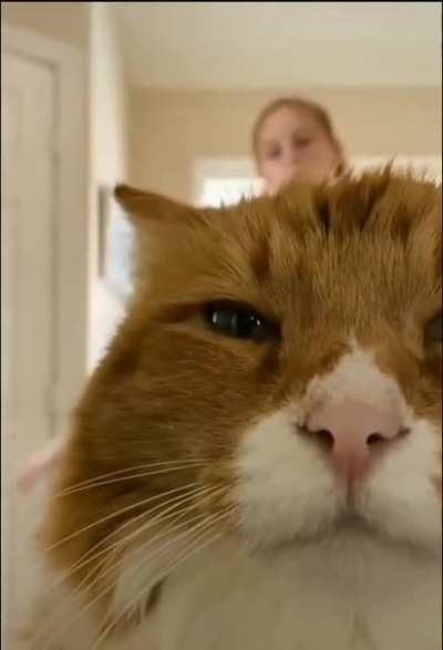 MEOW_IRL