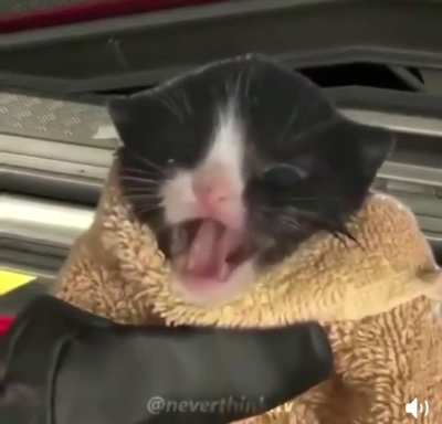 Blursed_Bomb