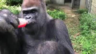 Using a bottle, just like us!