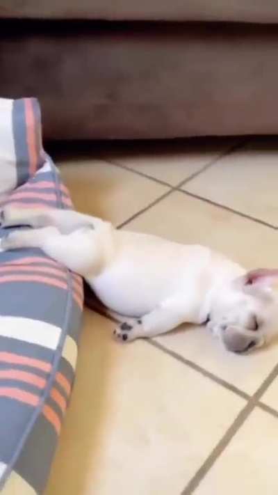 Could it be that he will have his tummy fresh? ha ha