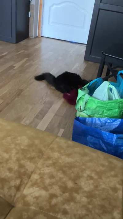 Void vs rug