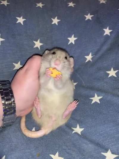 Mabel grabbies 😍